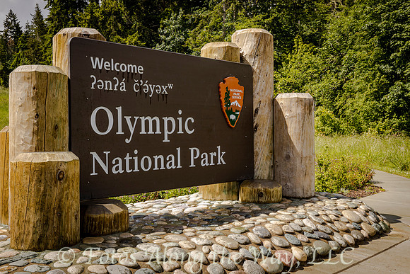 Olympic National Park Entrance (Washington)