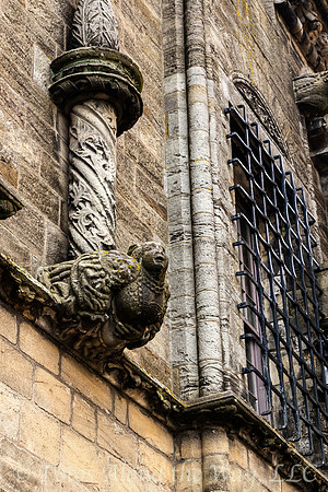 Gargoyle and Barred Window on Castle Palace