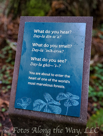 Redwood Forest Sign with Yurok Translation (California)