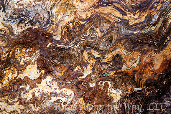 Tree Pattern Abstract (California)