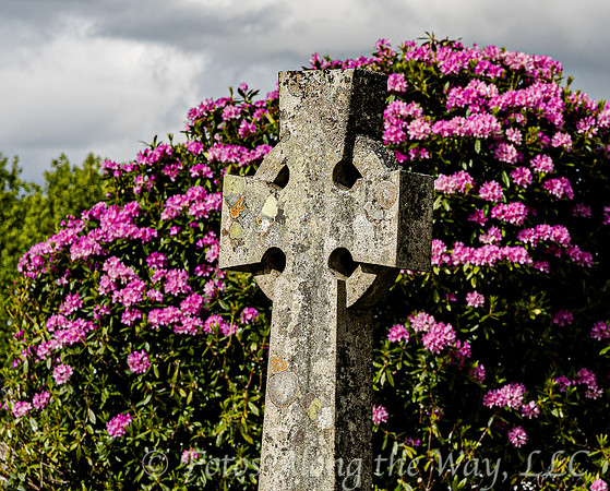 Grave beside Floral Bush