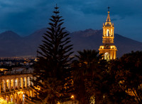 Cathedral Belltower and Tree in the Evening (Peru)