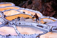 Salt Pond Worker Tossing Basketful (Peru)