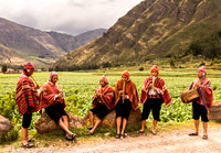 Musicians in the Sacred Valley (Peru)