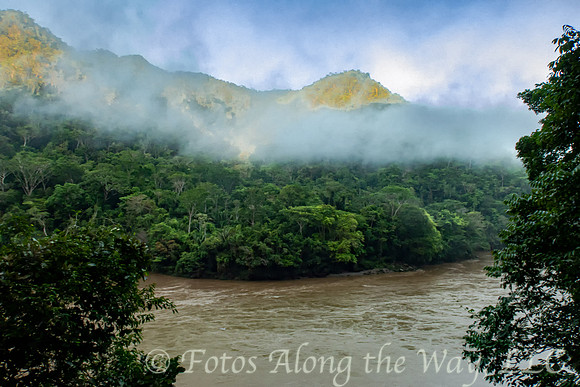Rainforest Mist and River (Peru)