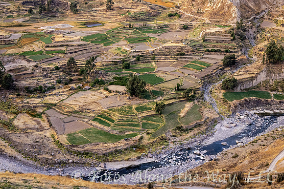 Pre-Incan Terraces in River Canyon (Peru)