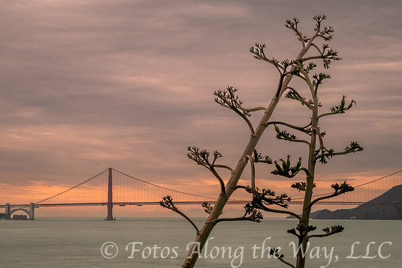 Golden Gate Bridge from Alcatraz Island (California)