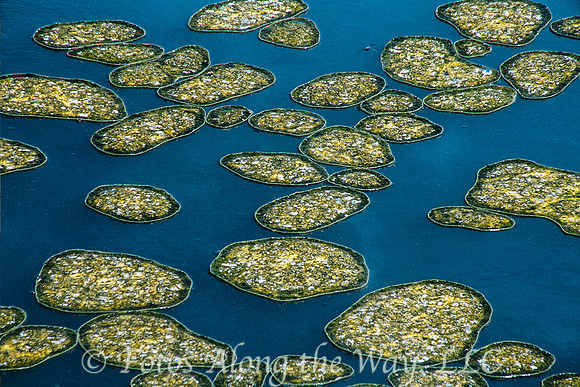 Lakeside Pods (Wyoming)