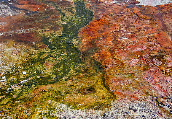 Colorful Thermal Mineral Streams (Wyoming)