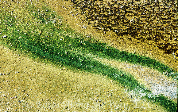 Thermal Mineral Streams (Wyoming)