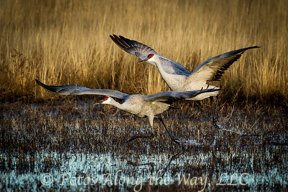 Photo by Michael K. McDermott