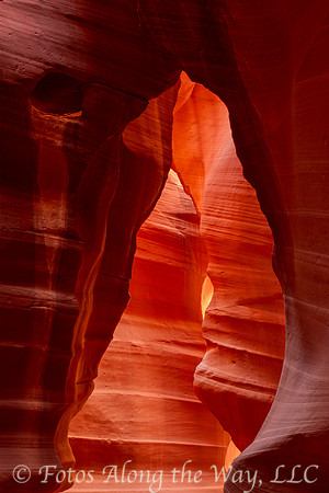 'The Bear' - Antelope Canyon (Arizona)
