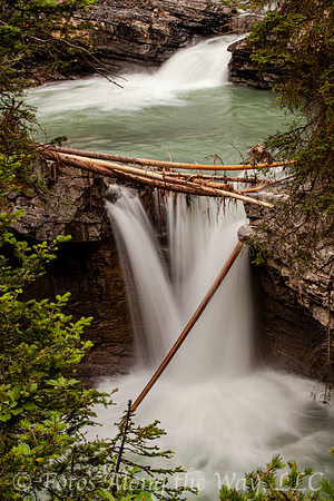 Waterfall and Tree Limbs (Canada)
