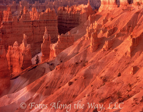 Bryce Canyon at Sunrise (Utah)