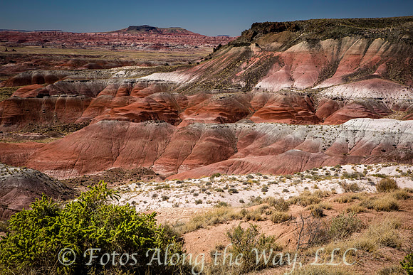 Painted Desert Vista (Arizona)