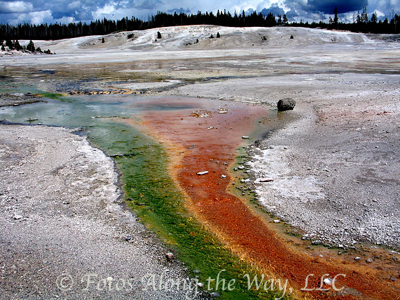 Geyser Basin Mineral Stream (Wyoming)