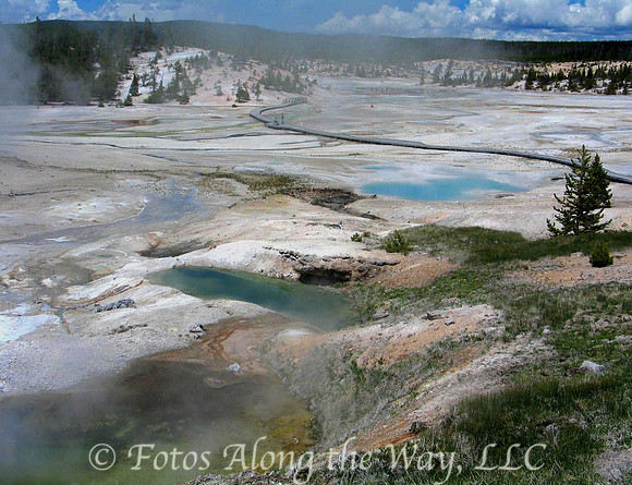 Geyser Basin (Wyoming)