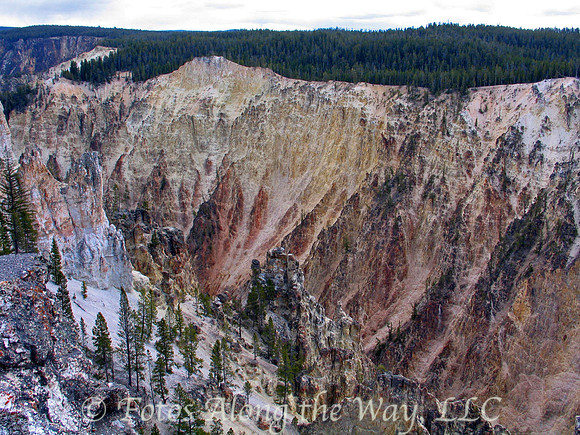 Yellowstone Canyon Vista (Wyoming)