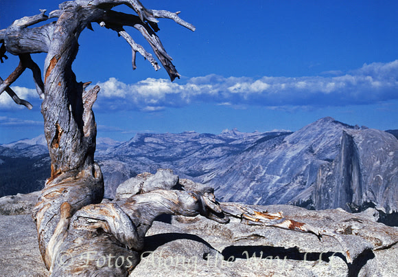 Sentinal Dome Viewpoint (California)