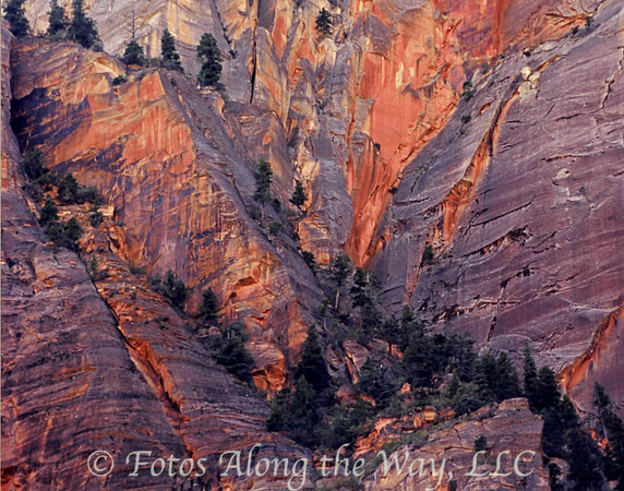 Zion NP Mountain Wall (Utah)