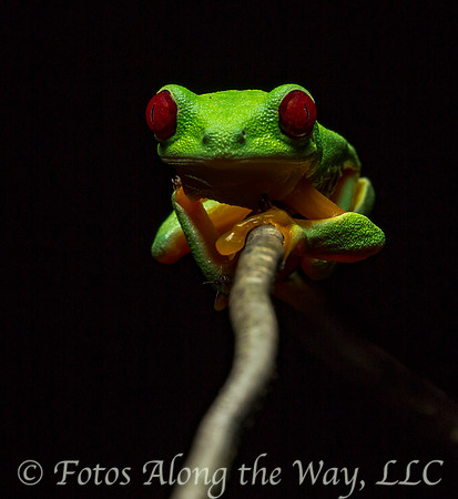 Photo by Michael K. McDermott
