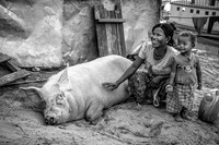 Woman and Child with Large Hog (Myanmar, 2017)