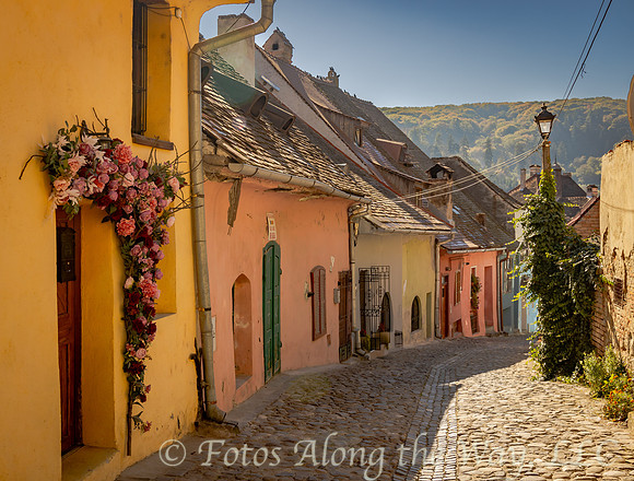 Colorful Street in Medieval Town