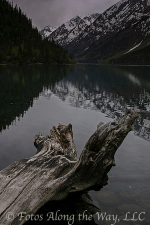 Photo by Michael K. McDermott