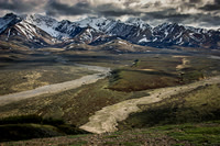 Denali National Park - Alaska