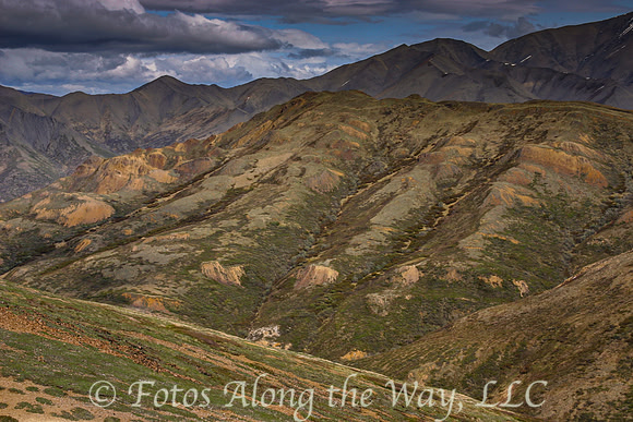 Camouflage Ridge Vista (Denali NP, Alaska)
