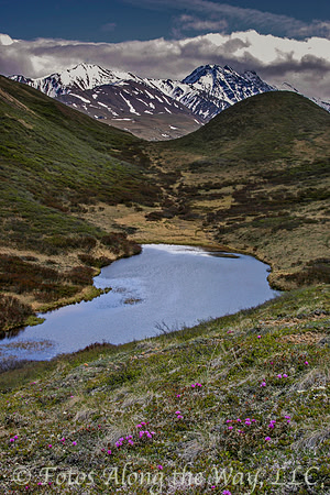 Denali Pond (Denali NP, Alaska)