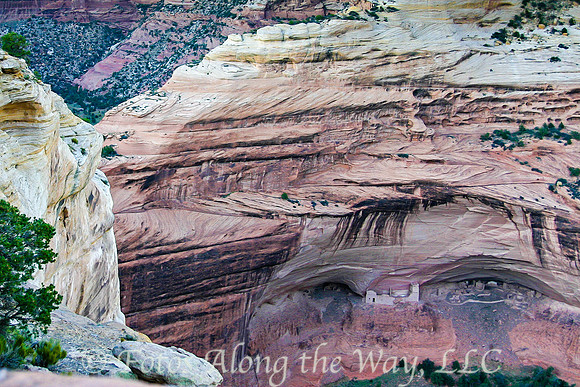 Canyon del Muerto (Arizona)