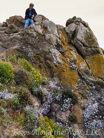 Colorful Overlook (California)