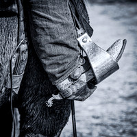 Boot in the Stirrup (Arizona, 2020)