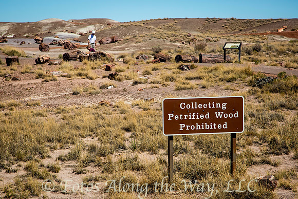Petrified Forest Trail & Sign (Arizona)