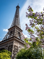 Eiffel Tower in Springtime