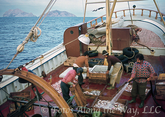 Fishermen Cleaning the Haul (Greece)