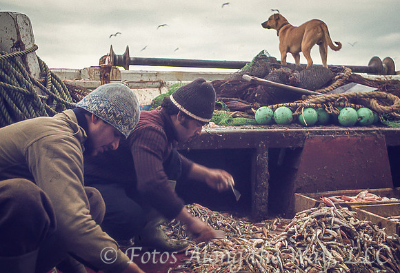 Two Fishermen Sorting Small Fish (Greece)