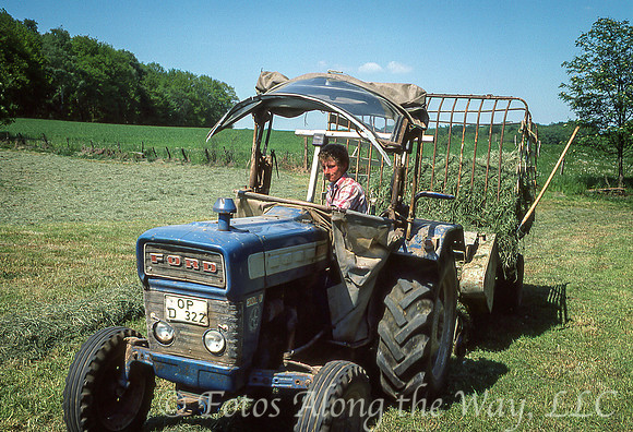 Young Farmer Collecting Cut Grass (Germany)