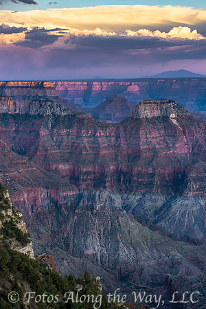 Grand Canyon - North Rim - Vertical (Arizona)