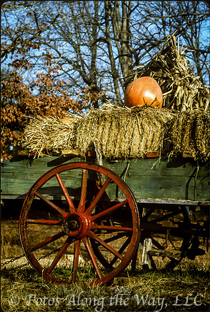 Autumn Wagon (Georgia)
