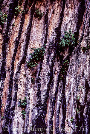 Striped Wall Canyon (Utah)