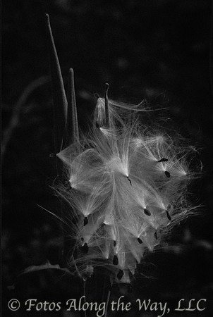 Photo by Michael K. McDermott