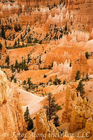 Bryce Canyon (Utah)
