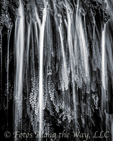 Water Falling over Ferns (Arizona, 2018)