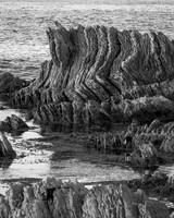 Curved Offshore Rock Formation (New Zealand, 2013)