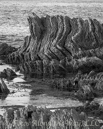 Curved Offshore Rock Formation (New Zealand, 2013)
