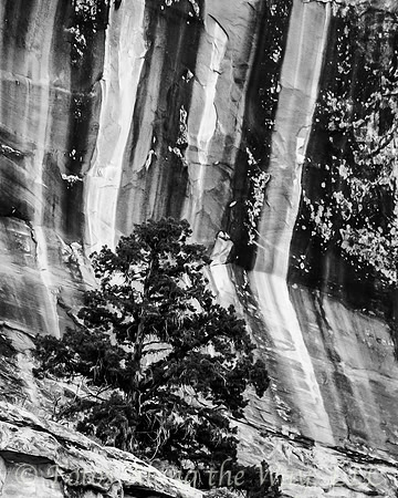 Desert Varnish Cliff (Utah, 2007)