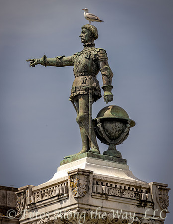 Seagull Perched on Prince Henry the Navigator (Portugal)