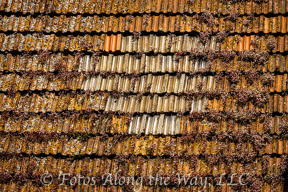 Ceramic Tile Roof with Glass Tiles (Portugal)